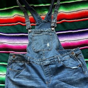 Plus size overalls size 24